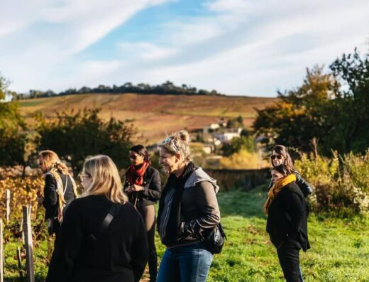 guided tour on vineyards in Beaujolais, on a wine tour from Lyon
