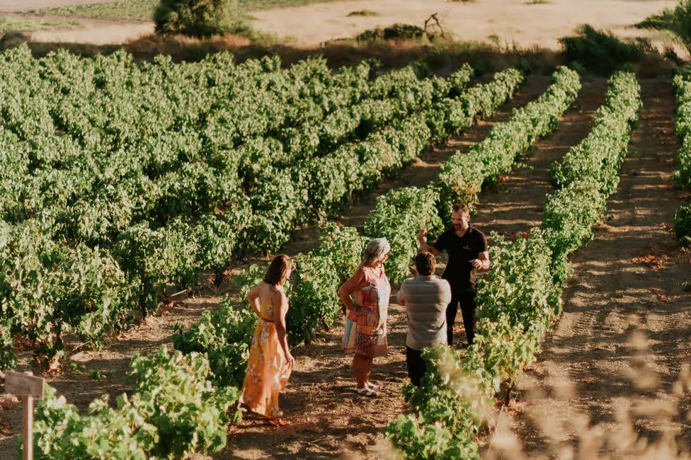 Visit of Kostantakis Winery vineyards before wine tasting