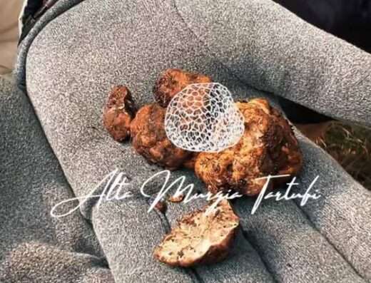 Truffles of Alta Murgia