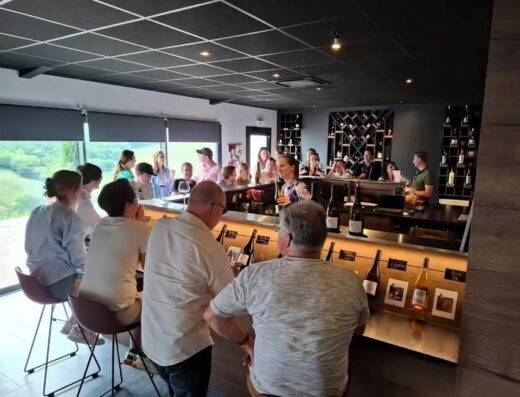 Interactive way to learn about wine tasting Beaujolais Wine Route Half-Day Tour from Lyon wine tasting
