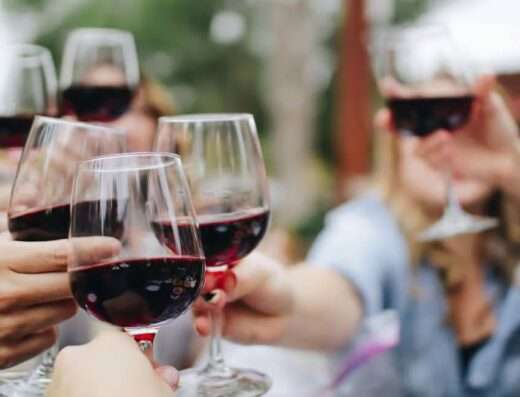 red burgundy tasting on wine tour from Dijon to Beazune