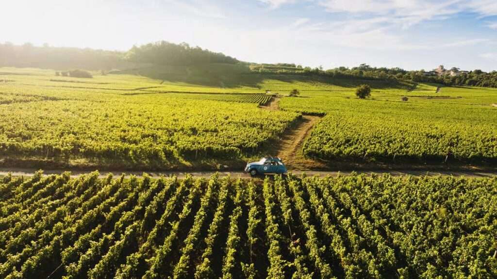 Burgundy grands crus road with 2CV classic car from Beaune Driving a Classic 2CV vintage car in the vineyards on Burgundy grands crus road trip