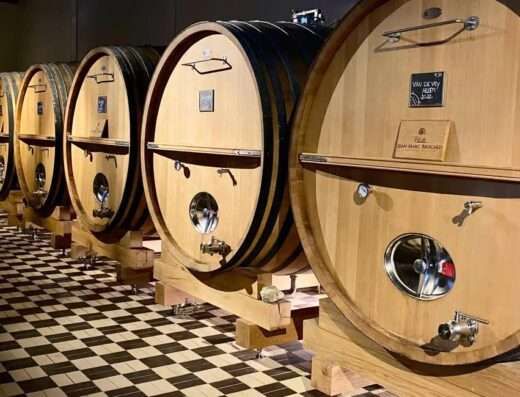 Visit of cellars and oak barrels at Brocard winery, Chablis, during chateau Pommard and Chablis wine tour