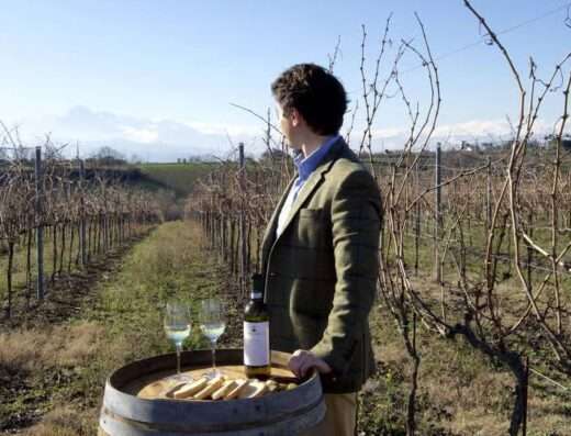 view on the vineyards and wine tasting in Cantina Mazzarosa