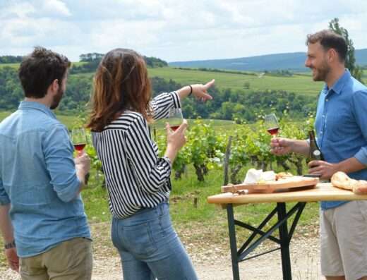 Wine tasting in the vineyards of Chablis & Burgundy with a sommelier