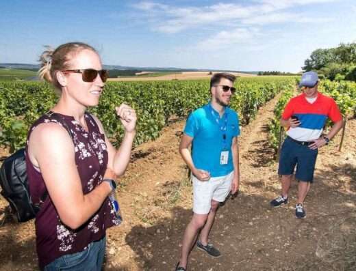 On Chablis from Paris trip, a relax stop on Chablis vineyards to learn more about Burgundy wines , history, grapes and winemaking