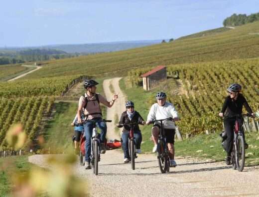Riding in group narrow paths in Chablis vineyards by e-bike, passing by row of vines and small winemakers vineyads working houses