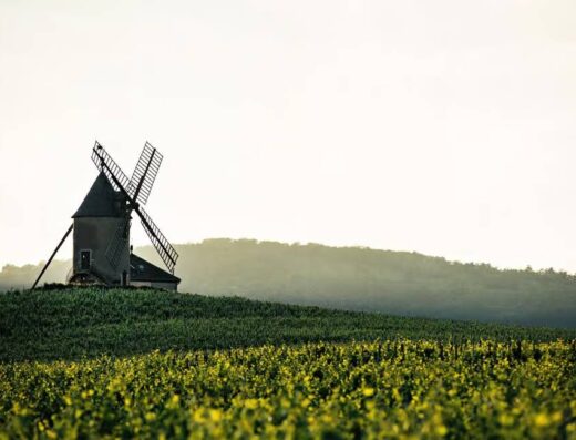 morning view on windmill ofChâteau du Moulin-à-Vent , Beaujolais