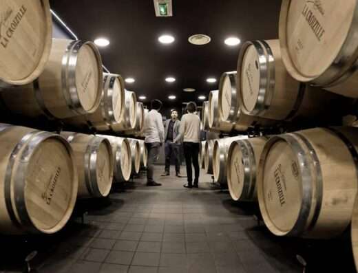 visit of the modern wine cellars of chateau la Croizille saint émilion grand cru classé