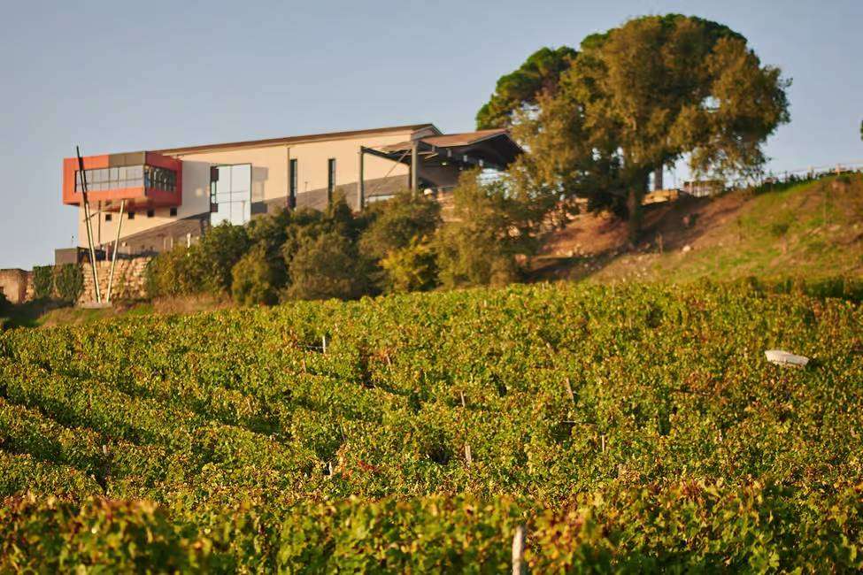 Chateau la croizille wine tasting winery visit Modern winery building of chateau la Croizille saint émilion grand cru classé