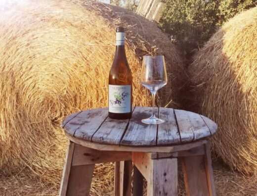 One of the 6 wines tasted at Azienda Agricola La Vinarte