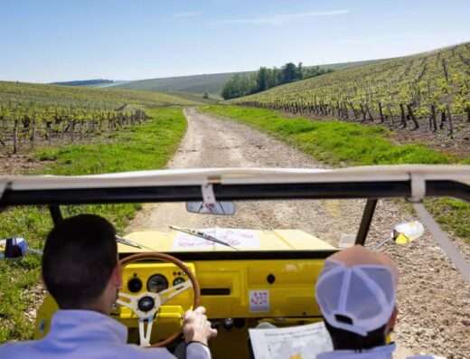 Driving trough the small roads of Chablis and its vineyards onboard of an electrical mehari car
