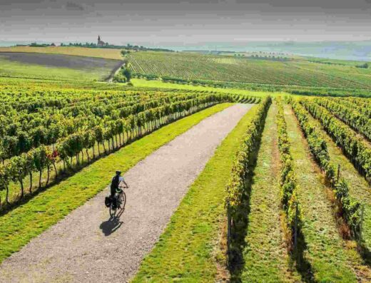 Bike riding in Moravian Tuscany vineyards