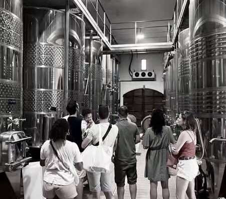 Visit of a winery in Saint Florent Corsica, with Patrimonio wine tasting