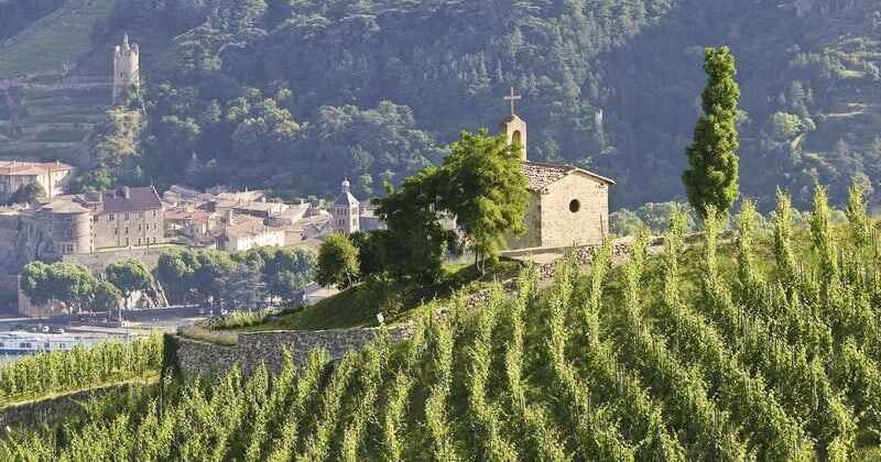 Rhône valley wine region