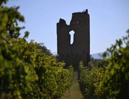 Torre Raone , the old tower that gave the name to tenuta Torre Raone