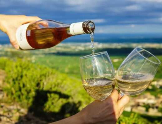 Vouvray wine tasting in the viineyards
