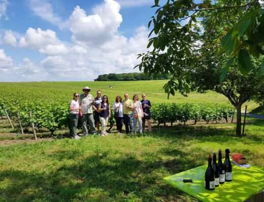 Pic nic in the Vouvray vineyards