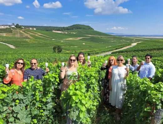 Group visiting the vinyards in a chablis day trip, with wine Chablis burgundy wine tasting in the vineyards