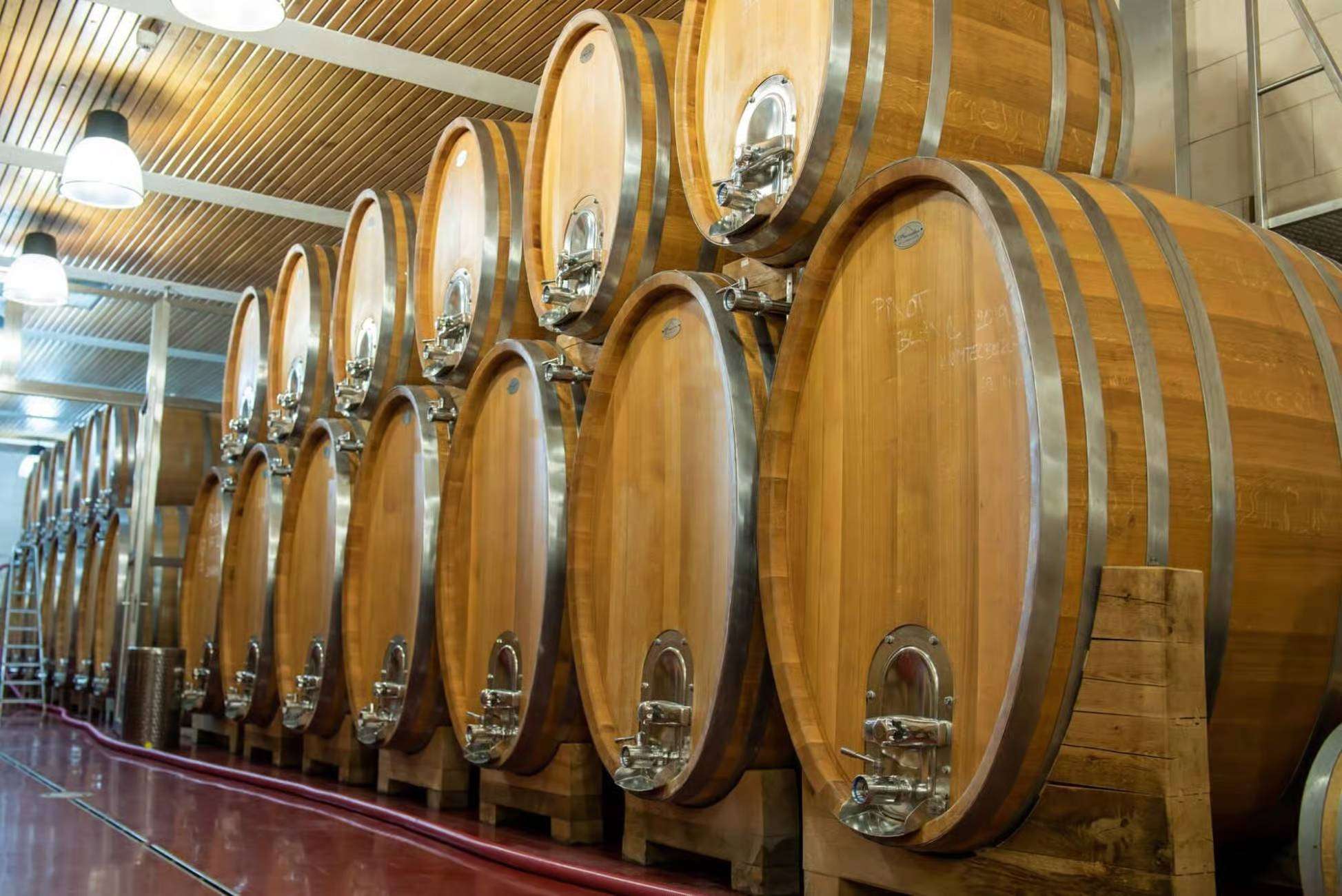 czech vineyards tour and viist of local winery