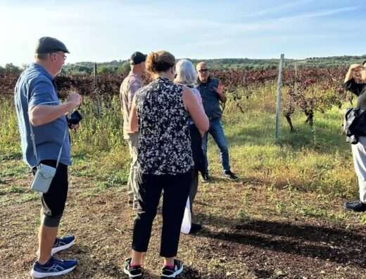visit of vineyards of Russo winery on half day tour to Ginosa
