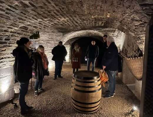 old cellar visit of local wineries in Burgundy