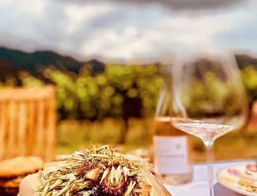 Food pic bic and wine sin the vineyards near Ile Rousse in Corsica