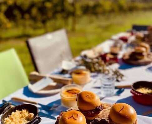 Corsica wine tasting and pic nic in the vineyards in Calvi