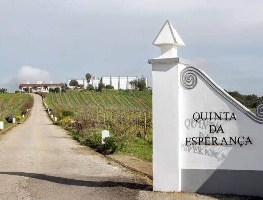 Aliestre Vineyards entrance, quinta da esperançia, in Estremoz,Alentejo