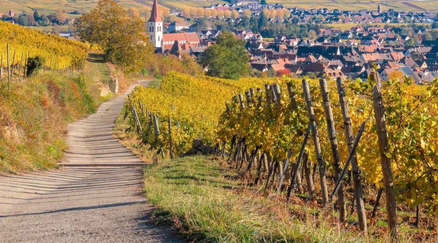 Alsace, in crossroads of Europe with its rich winemaking history