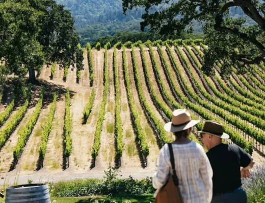 Tourists on a on a wine tour with Golden Gate stop in San Francisco enjoying view over the vineyards of Napa Valley