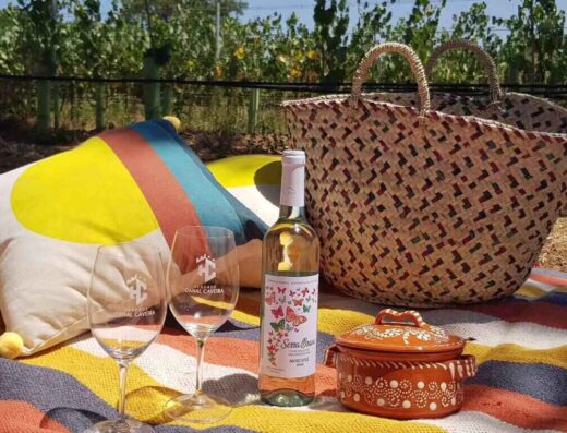 Pic nic set with wine and local food at Herdade Canal Caveira iwinery n Alentejo wine region, Portugal