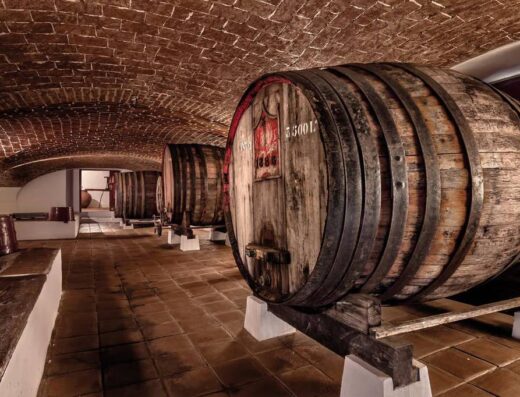 Old wine barrels at Jose de Sousa winery, Reguengos de Monsaraz, Portugal