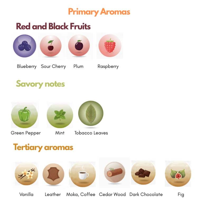 Merlot grape aromatic profile