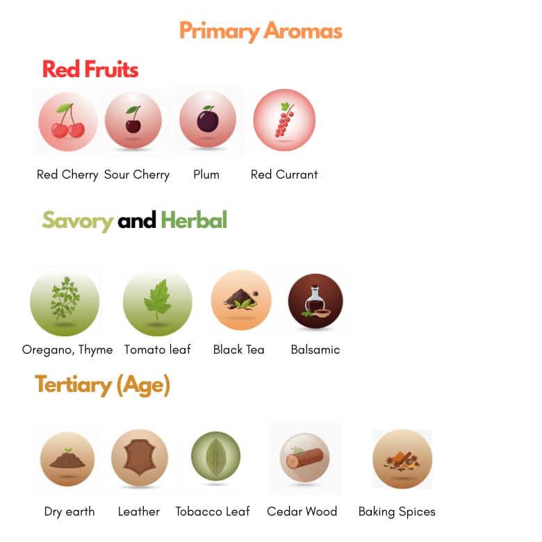 Aromatic profile and flavors of Sangiovese grape