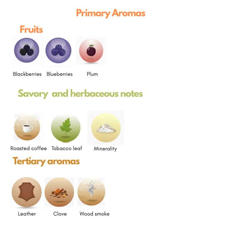 Colorino grape aromas