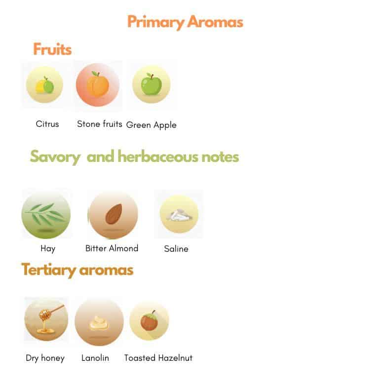 Trebbiano grape aromas