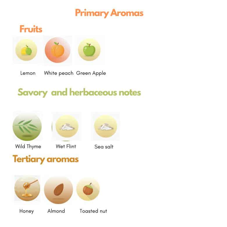 Vernaccia grape aromas