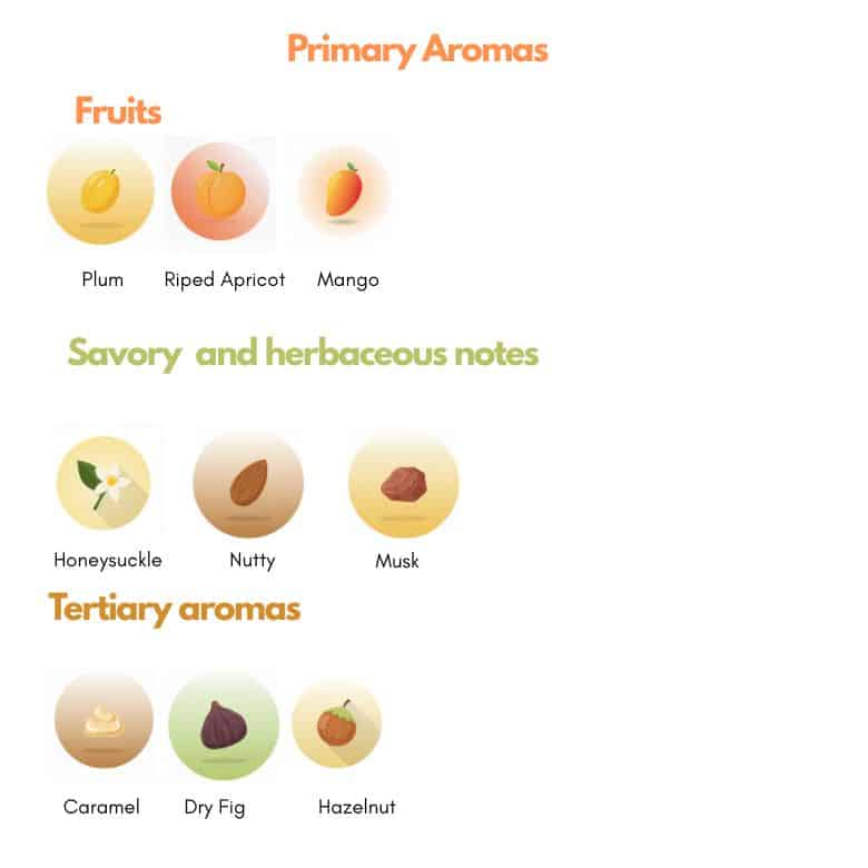 Malvasia Bianca Lunga aromas