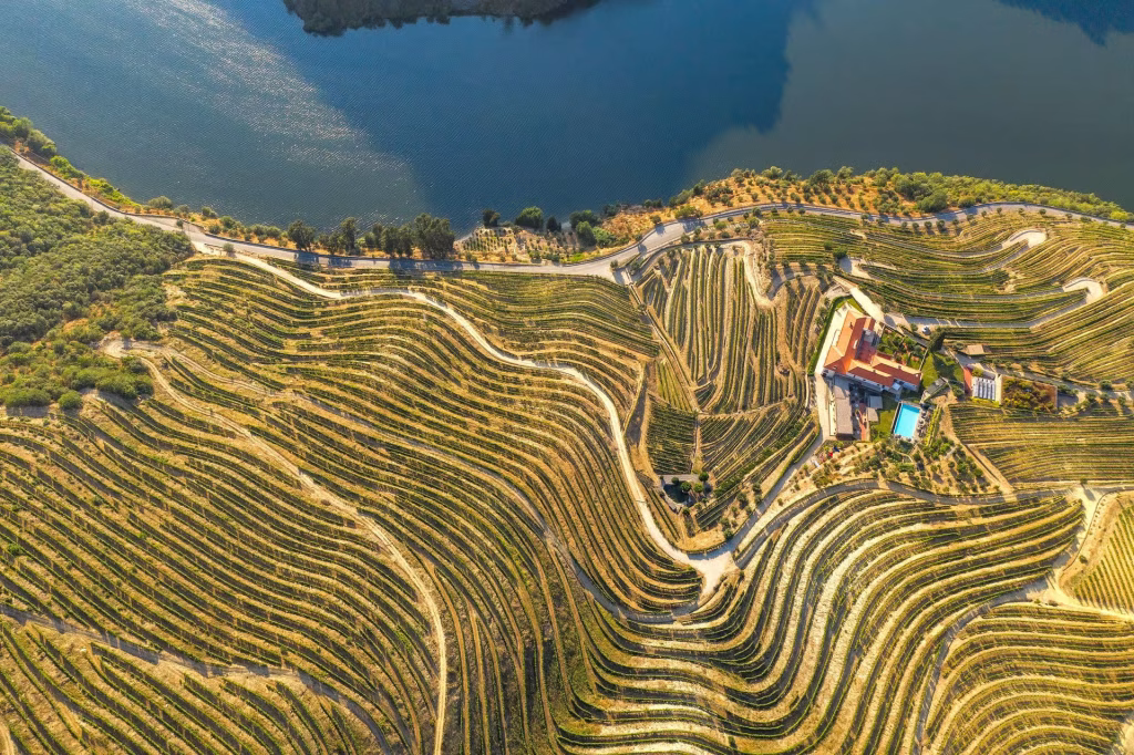 Douro valley view from the sky, during Douro Valley small group tour from Porto with UNESCO vineyard lunch and cruise