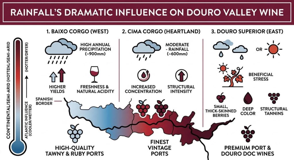 water rain infos in Douro