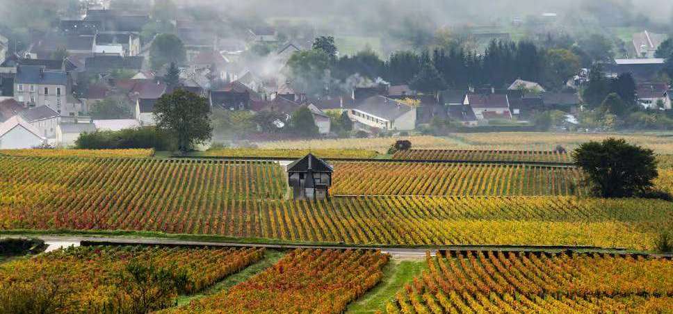 France Burgundy region