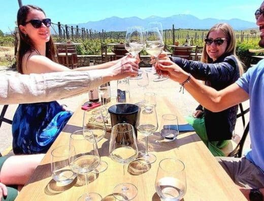 Gourmet heraklion wine tour, wine tasting