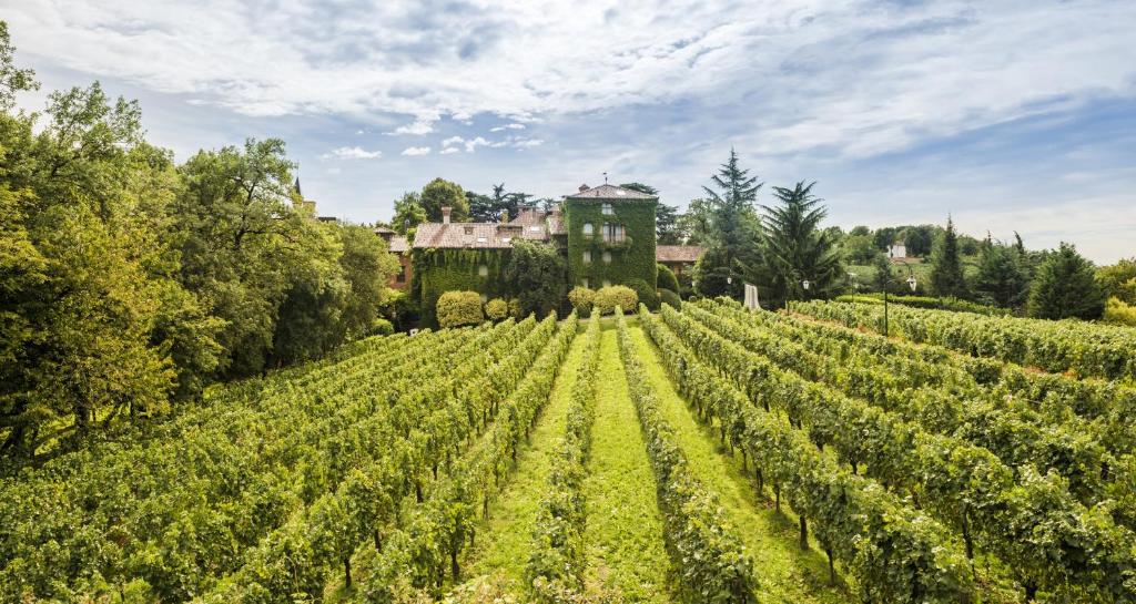 view of hotel inthe vineyards of Franciacorta, Albereta relais et Chateaux, Erbusco, Lombardy