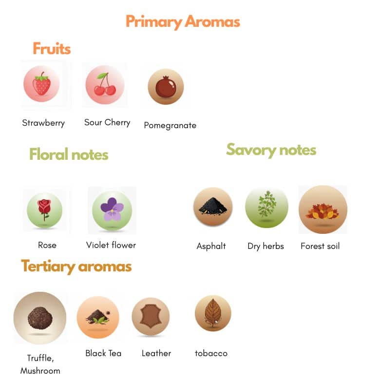 aromas of Nebbiolo grape