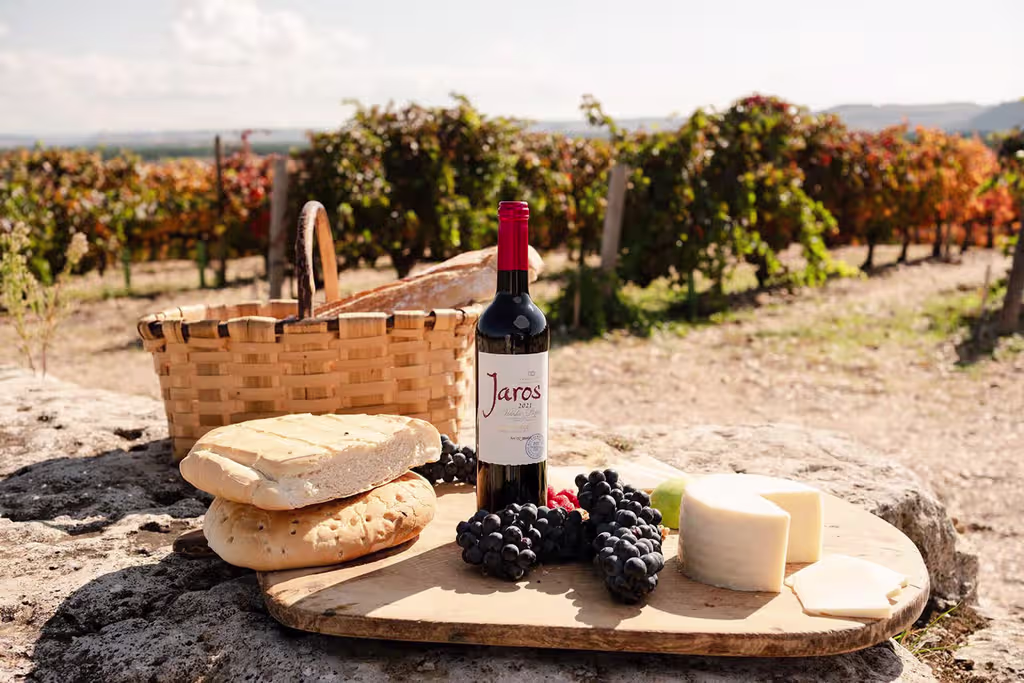 A premium wine bottle paired with artisanal cheeses, fresh bread, and grapes on a wooden board in a vineyard at the Finca del Quiñón estate during a 4x4 wine tour
