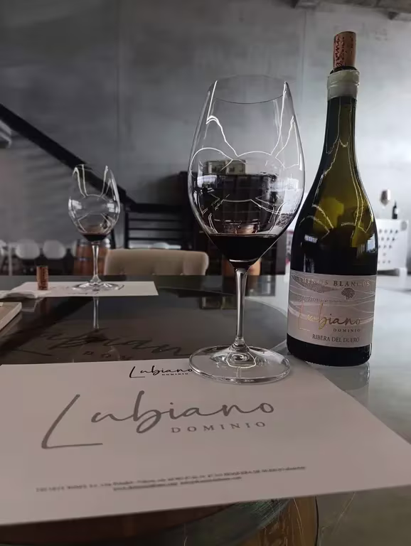 A premium bottle of Dominio de Lubiano wine and crystal glasses arranged for a professional tasting during a Ribera del Duero wine tour from Madrid