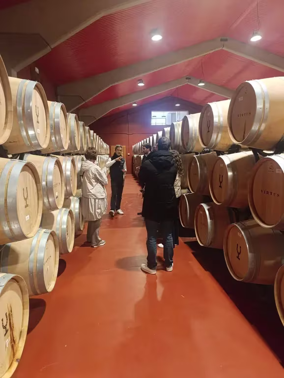 A guide leading a group of visitors through a professional barrel aging room at the Virtus winery during a Ribera del Duero tour from Madrid.