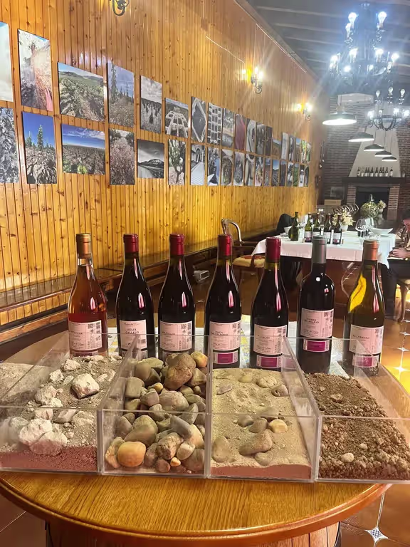 A comparative wine tasting display featuring bottles of wine paired with representative soil and rock samples from the Ribera del Duero region during a winery tour from Madrid