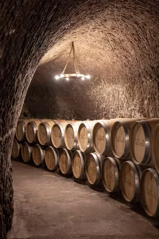 Rows of oak wine barrels stored inside a historic 16th-century underground cellar in Ribera del Duero during a wine tour from Madrid